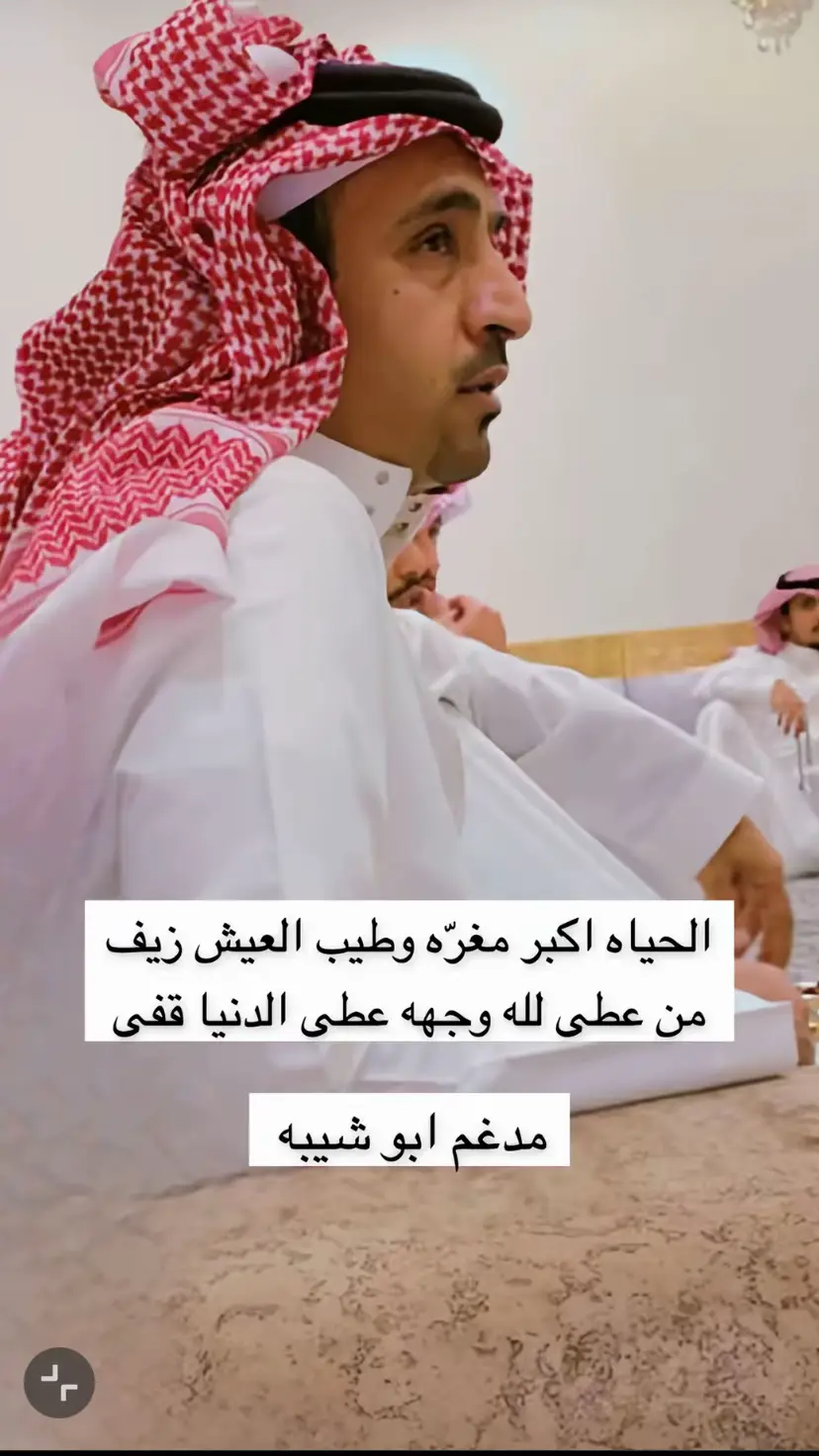 #مدغم_ابوشيبة #قصيده #شعراء #السعودية #اكسبلور 