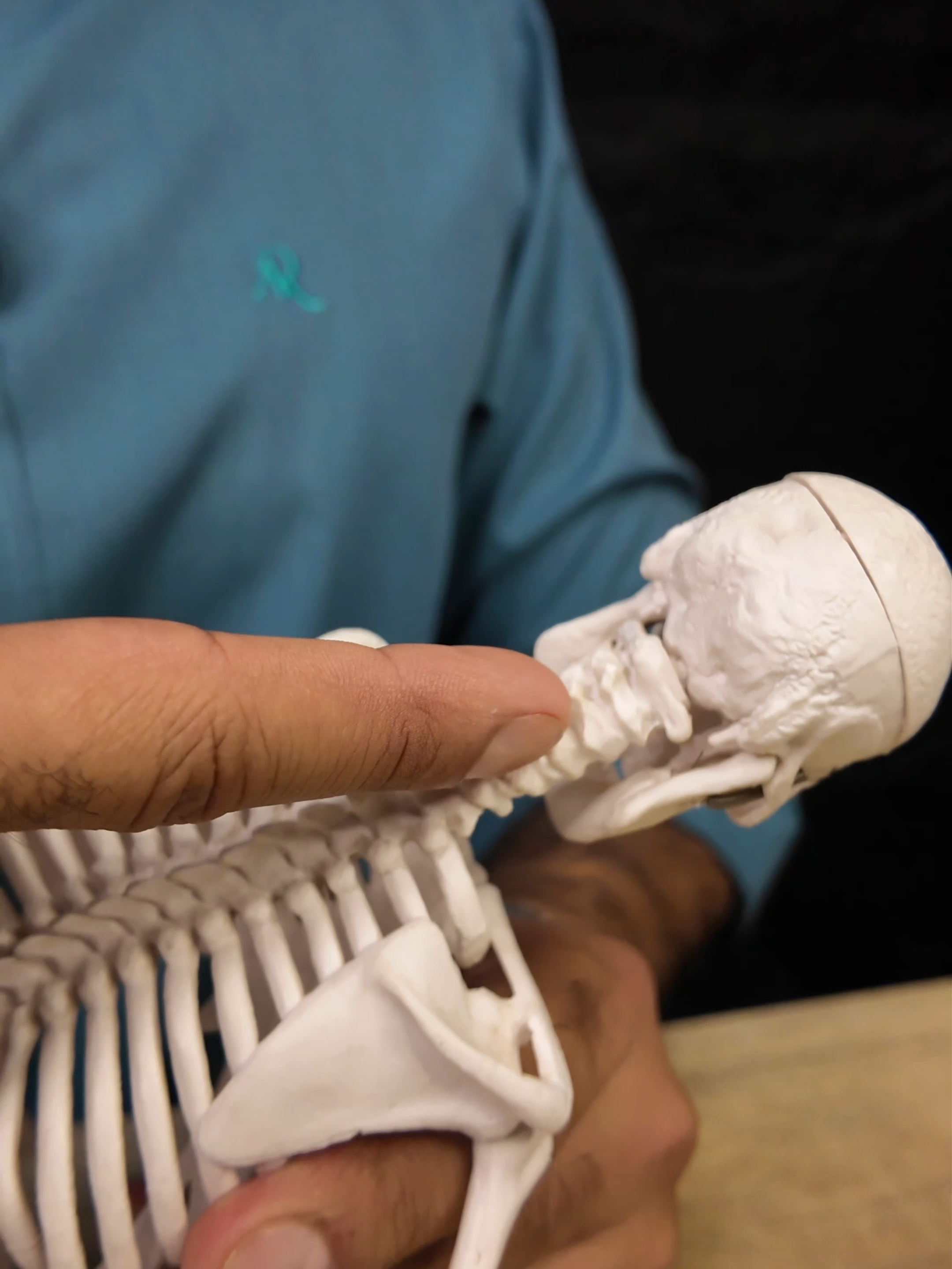 عروض وهاد 6)