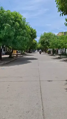 recorriendo las hermosas calles del barrio san antonio en mi valledupar.  que canción te gustaría para un próximo video #viraltiktok #valleduparcolombia🇨🇴🇨🇴 #paratiiiiiiiiiiiiiiiiiiiiiiiiiiiiiiiiii🦋 #paratiii #paratiiiiiiiiiiiiiiiiiiiiiiiiiiiiiiiiii 