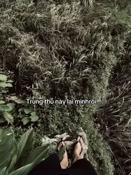 Trung thu này lại 1 mình rồi...