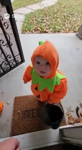 Trick or treat #fyp #baby #cute #cutebaby 