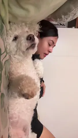 ✨Therapy session ✨#therapy #dog #perros 