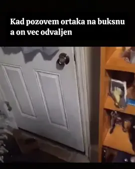 #fyp #viral 😂🐉🍀