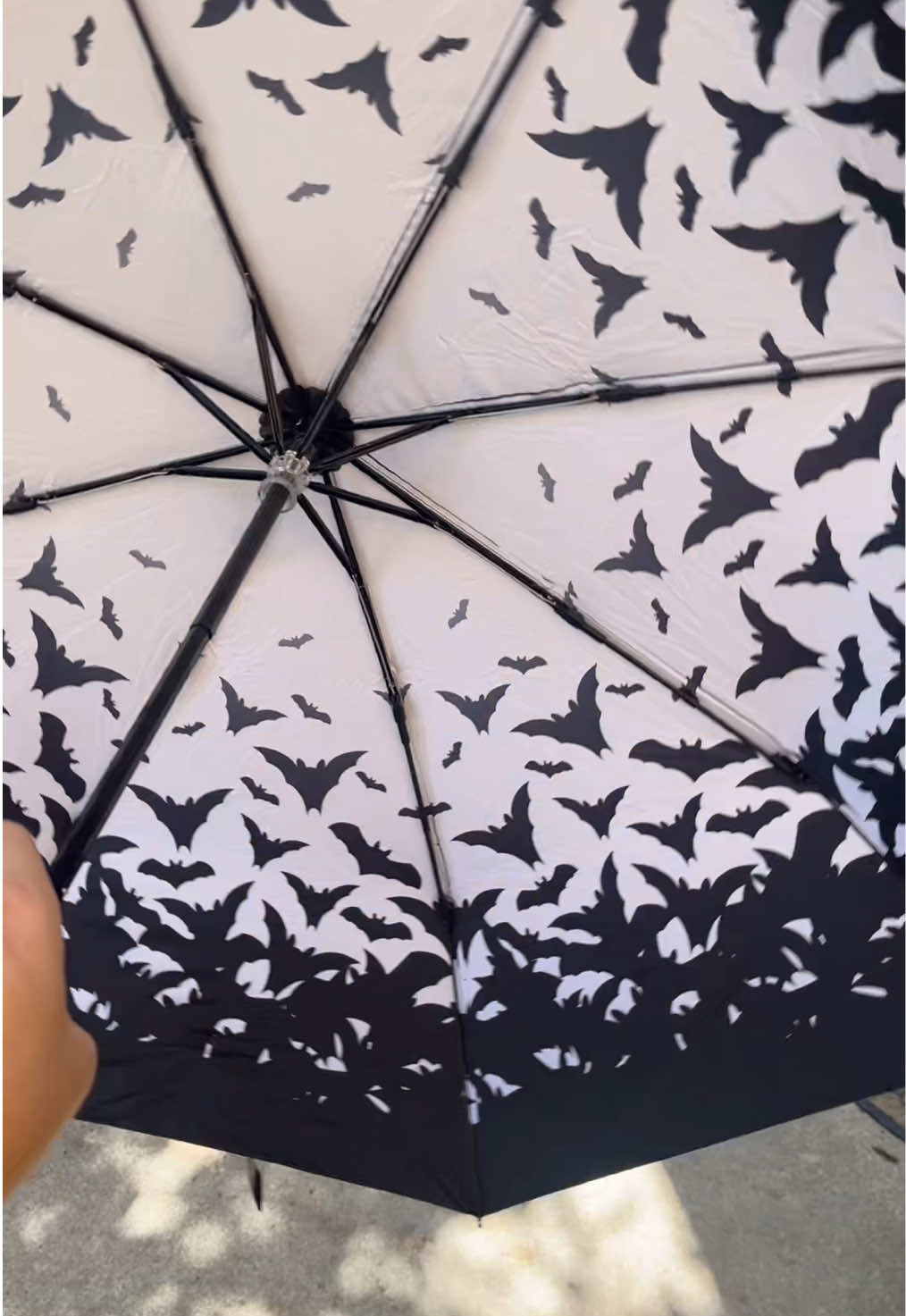 #gothgirls #umbrella #tiktokshopcreatorpicks #tiktokshopfalldealsforyou #blackismyhappycolor 