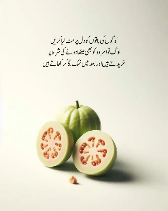 لوگوں کی باتوں کو دل پر مت لیا کریں  لوگ تو ام بود کو میٹھا ہونے کی شرط پر  خریدتے ہیں اور بعد میں نمک لگا کر کھاتے ہیں