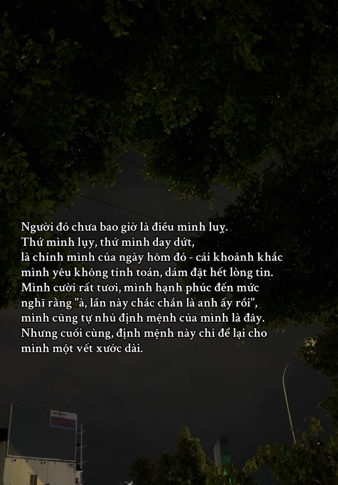 Thứ mình mất không phải là họ, mà là niềm tin của chính mình…. #fyp #tamtrang #tinhyeu #viral 