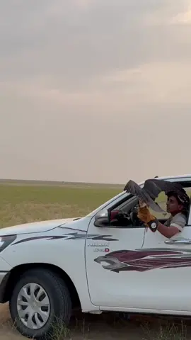 #لطام #مقناص#اكتوبر#صقور#ماشاءالله