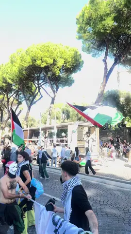 Rome, 4th October 2025 #freepalestine #gaza #protest #peace #rome 