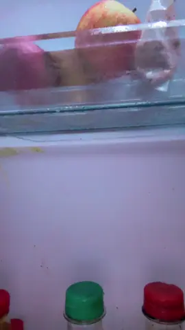 SUGAR ON MY TOUNGUEEE.   #sugaronmytongue #tylerthecreator #fyp 