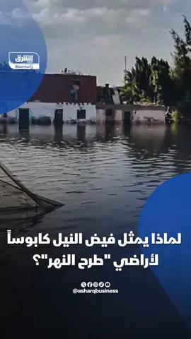 لماذا يمثل فيض النيل كابوساً لأراضي 