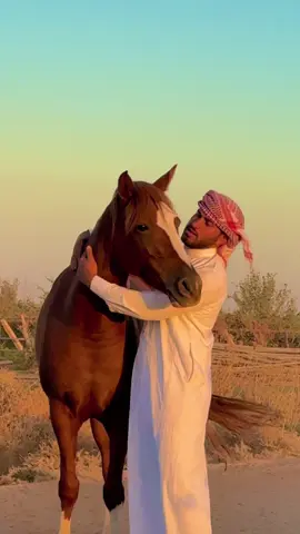 وصهلت خيل وافين الجناب#تبارك_الرحمن #البلقاء #خيل_وخياله🐎 #لاالله_الا_الله_محمدرسول_الله_الا_الله #السعودية_الكويت_مصر_العراق_لبنان 