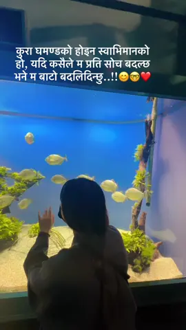 सबैको आफ्नै समय छ हजुर दुधको साक्षी बिरालो🤣🤣#धन्यबाद #fyp 