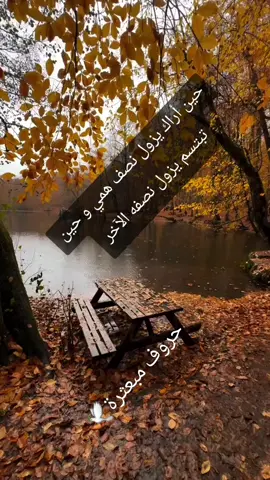 #حروف_مبعثرة🕊 #المانيا_السويد_النمسا_النروج_دينيمارك #تونس_الكويت_مصر_السعودية_العراق #الخليج_العربي #