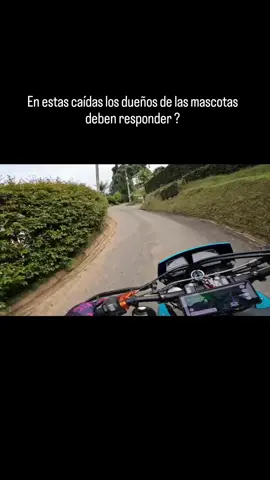🐕💥 ¿Quién responde cuando un perro te tumba en la vía? Voy rodando y de repente… ¡zas! un perro se atraviesa y termino en el piso. La pregunta no es solo el golpe ni los daños: 👉 ¿El dueño de la mascota debe hacerse responsable? 👉 ¿O como siempre, el motero carga con todo? Deja tu opinión 👇 ✅ Sí — el dueño debe pagar ❌ No — es solo mala suerte