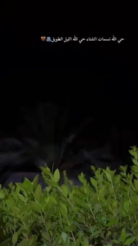 حي الله نسمات الشتاء حي الله الليل الطويل🫂🤎