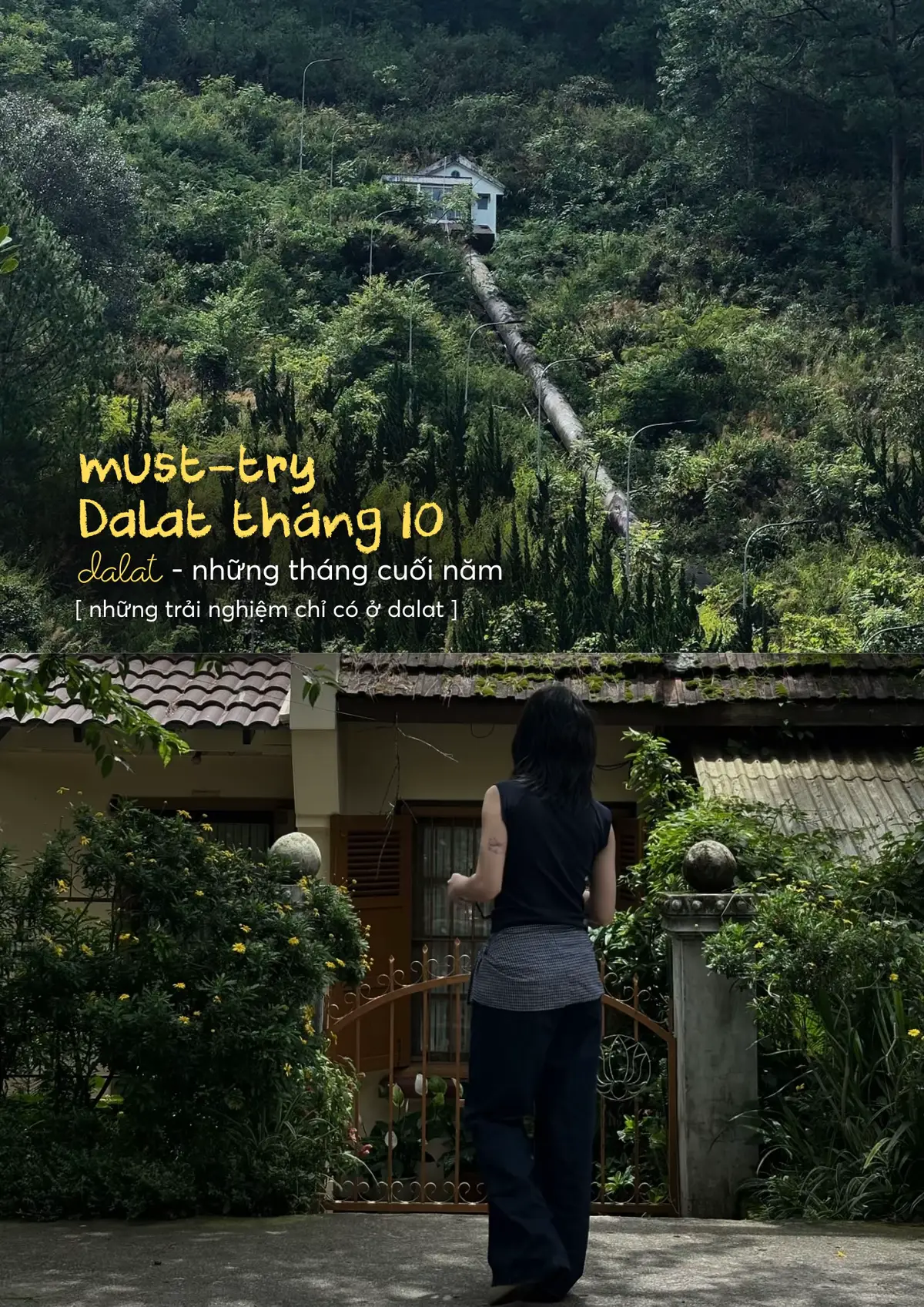 #dalatstory #dalattravel #dalatreviewcotam #dalatreview #xuhuong 