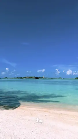 10/10