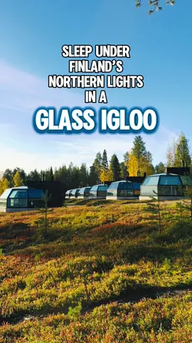 Kaupallinen Yhteistyö/Collaboration with Ranua Resort.  Arctic Igloos in Ranua, Finland offer peaceful stays on the shore of Lake Ranuanjärvi, far from city lights. Heated glass roofs keep the views clear all year round. Each igloo has a kitchenette, sauna, shower, and toilet. Spend an unforgettable night in comfort — and you might even see the magical Northern Lights. I have!  #TravelTok #BucketList #ViralTravel #visitfinland #northernlights 