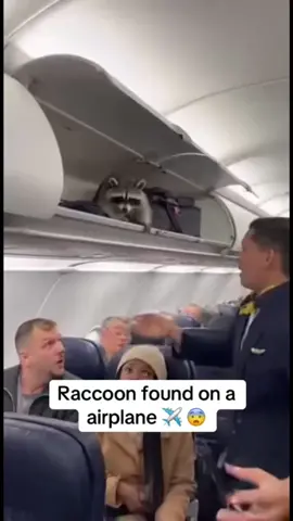 #stitch with @Judokas #comedy 