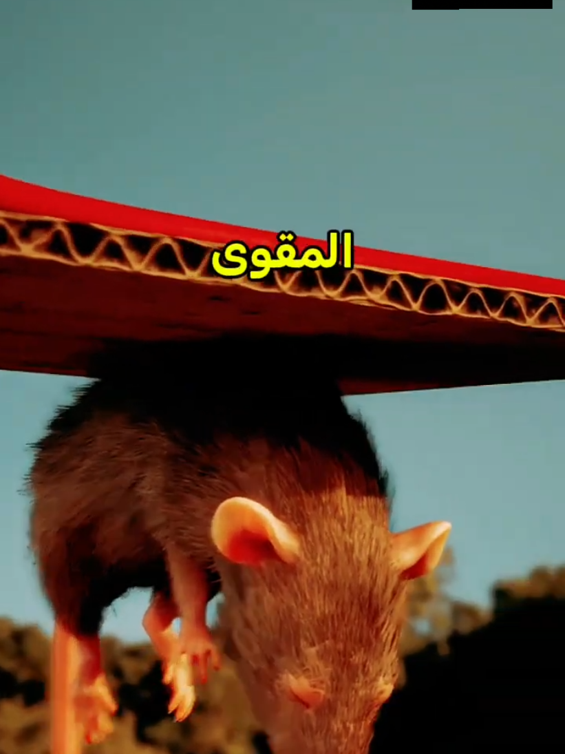 لمذا قامو اسقاط كل هاته الفئران