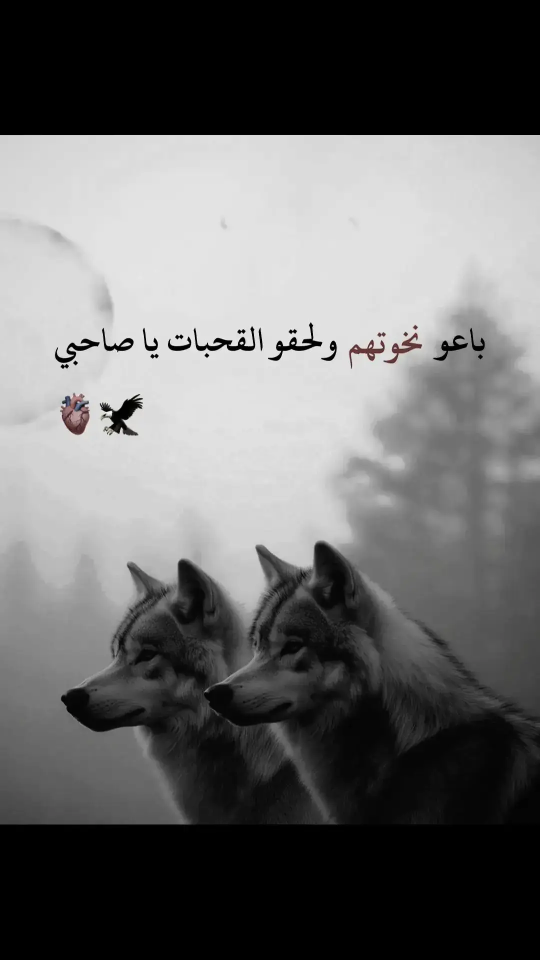 من لم يزرنا والديار مخيفة لامرحبا به والديار امان 