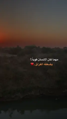 #عباراتكم💔💔؟ #تصويري_احترافي_الاجواء👌🏻🕊😴 #محمد_نزار #هدوء🥀 