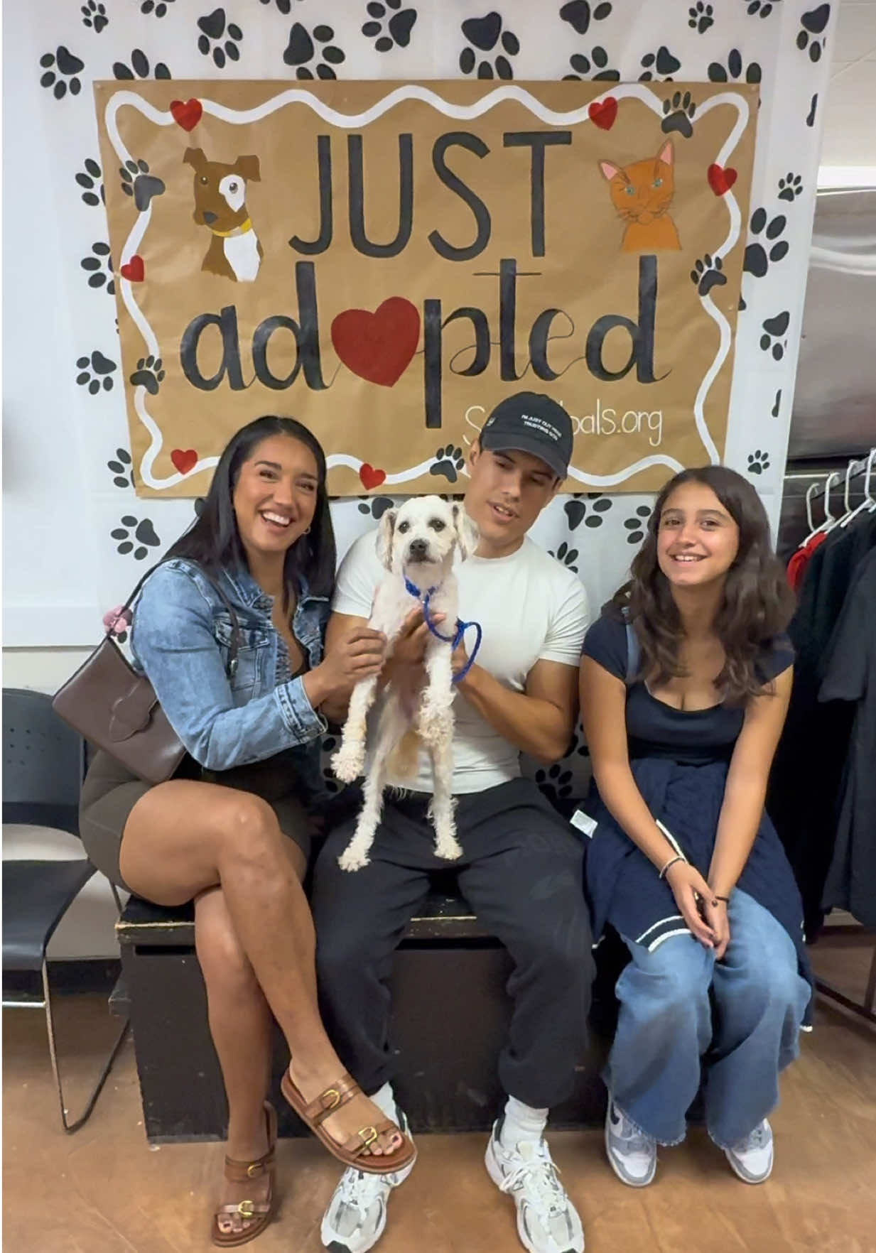 Thank you @Special Pals for allowing us to tour your facility and giving us the chance to meet our new dog Milo! 🥹 (formally known as Darcy) lol If you are looking to adopt or foster a dog/cat please head over to their shelter, I am so happy we were able to give a dog in need a home. & not to mention October is “adopt a dog” month! 🧡  Comment if you’d like for me to post more about Milo’s journey or any questions you have about Special Pals 🐾 #SpecialPals #AdoptADogMonth #AdoptDontShop #dogadotions #catadoptions 