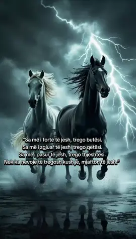 Forca, zgjuarsia dhe pasuria nuk maten me fjalë, por me mënyrën si sillesh. Qëndro i vërtetë, i thjeshtë dhe i qetë — sepse nuk ka nevojë të tregosh kush je, mjafton të jesh. 🌌✨ #frymezim #motivim #qetesi #thjeshtesi #inspirim 