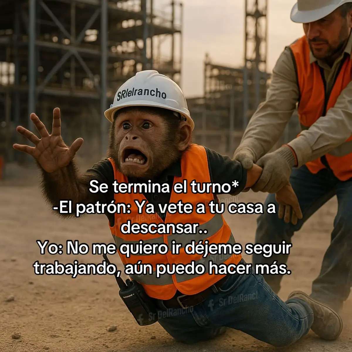 #fly #fypシ゚ #fypシ゚viraltiktok #fypシ゚viral🖤video #fpyシviral 