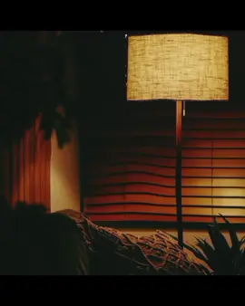 29/50 | Posting only Vocals 🕊️  . . . . . . . #vocals #vocalsonly #songlyrics #nomusic #foryoupage 