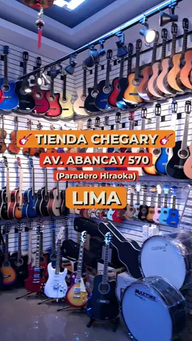 TIENDA DE INSTRUMENTOS MUSICALES CHEGARY #tiendadeinstrumentosmusicales #tiendademusica #instrumentosmusicales #tiendadeguitarras #datazo 