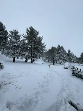 #vajvod😍 #gjalica_mount⛰ #fypシ゚viral #elhamdulila☝️ 