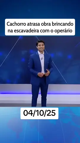 Cachorro atrasa obra brincando na escavadeira com o operário #ultimasnoticias #alegria #chinese #viralizou 