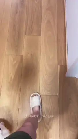 #cat #catsoftiktok #funnycats #catlovers 