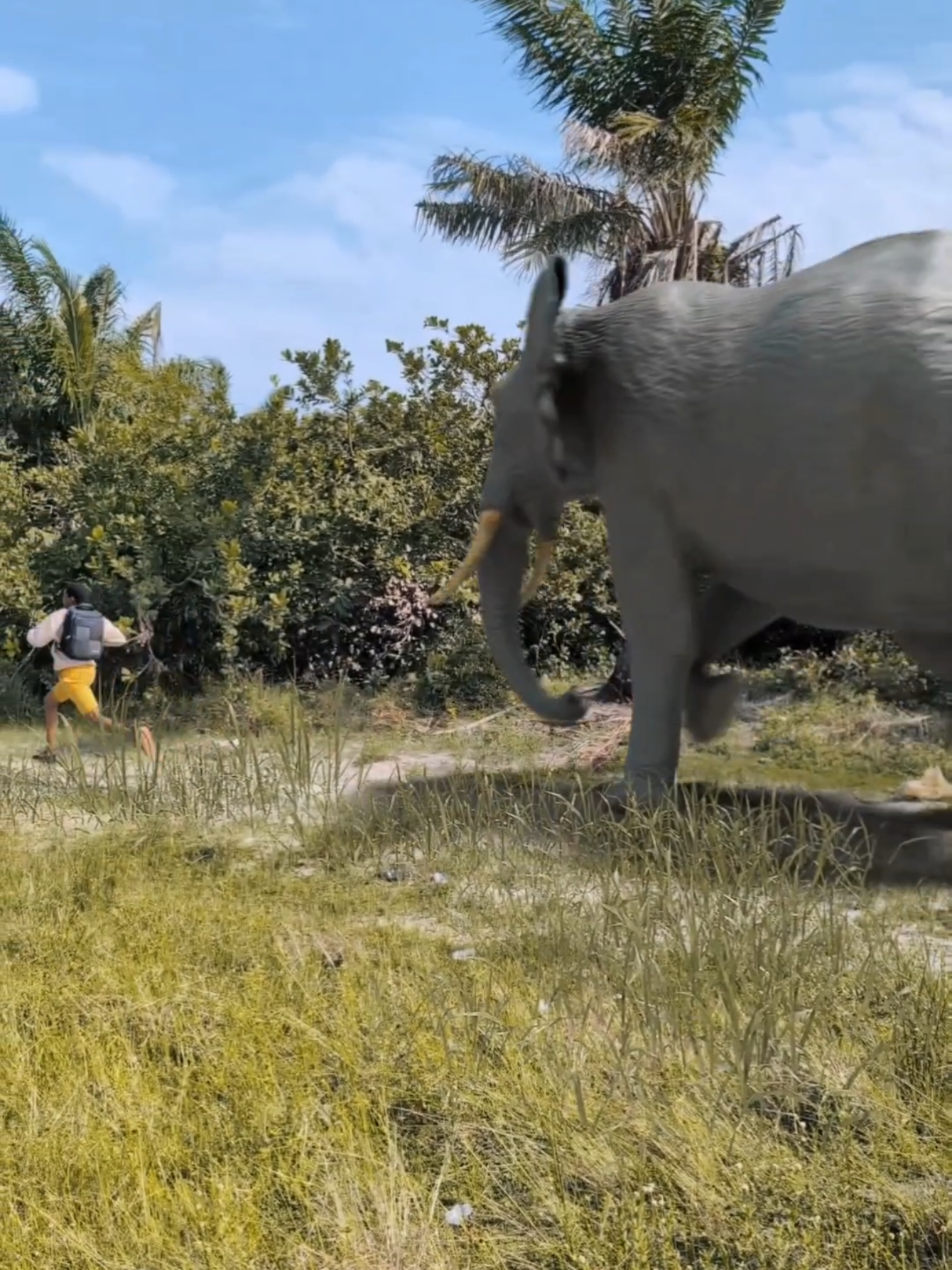 pov: wildlife photographers 🤣💔 #funny #viral #comedy  CGI @Augingenuity 