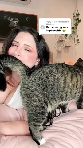 Replying to @OceanBreezed she said “absolutely not mom!” Whiskey was having NONE of this! 😆 I’m pretty sure I’m grounded. #tears #transition #sabrinacarpenter #cat #tearstransition 