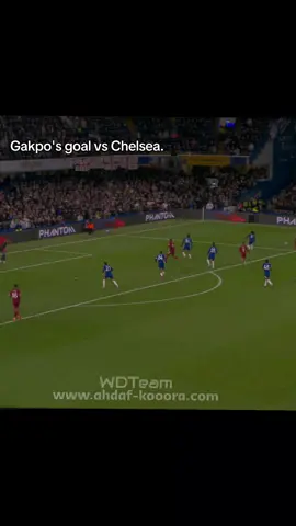 Gakpo's goal vs Chelsea💫🔥 #gakpo#goal#today#vs#chelsea 