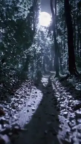 #MaladieInvisible #signeducœur #DesCris #QuePersonneNentend #SouffleDouloureux 