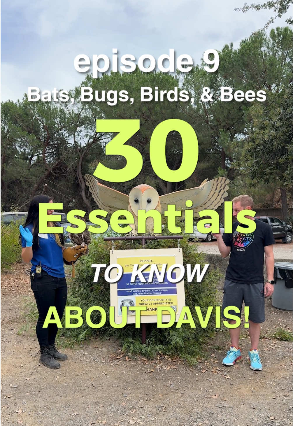 Ever wonder where you can get up close with some of nature’s coolest creatures without leaving Davis? 🦇🐝🦅🐞  Davis is packed with hidden wildlife experiences that feel like something out of a nature documentary. Whether you’re into bats, bugs, birds, or bees, there’s a spot here that’s perfect for exploring, learning, and just enjoying something a little different.  The Yolo Basin Foundation bat flyout is truly a must-see. Thousands of Mexican free-tailed bats emerge from under the Causeway at sunset, creating a mesmerizing swirl across the sky. Local volunteers share insights on how bats navigate, hunt, and why they’re essential to the ecosystem. It’s an experience that’s equal parts science, wonder, and pure magic. The Bohart Museum of Entomology is an insect lover’s dream. With over seven million specimens from around the globe, including live displays, it’s easy to spend hours marveling at beetles, butterflies, and stick bugs. On the right day, you can even hold some live insects and learn directly from UC Davis entomologists. At the California Raptor Center, injured hawks, owls, falcons, and eagles get a second chance at life. Visitors can see these incredible birds up close, learn about the care and training involved in their recovery, and watch demonstrations that showcase their strength and agility.  The Bee Haven on campus is more than just a garden. Wander through a vibrant collection of native plants, watch bees and other pollinators at work, and learn how these tiny insects support local biodiversity and our food system. It’s calming, colorful, and educational. Davis makes it easy to connect with nature without spending a fortune. These experiences are just a few of the many opportunities available, and most are free or donation-based.  You can also explore campus science labs with public tours, attend hands-on workshops at the UC Davis Arboretum, check out public lectures and demonstrations on agriculture, sustainability, or wildlife, and visit local observatories and garden programs. There’s no shortage of ways to learn, explore, and have fun right in your own backyard.