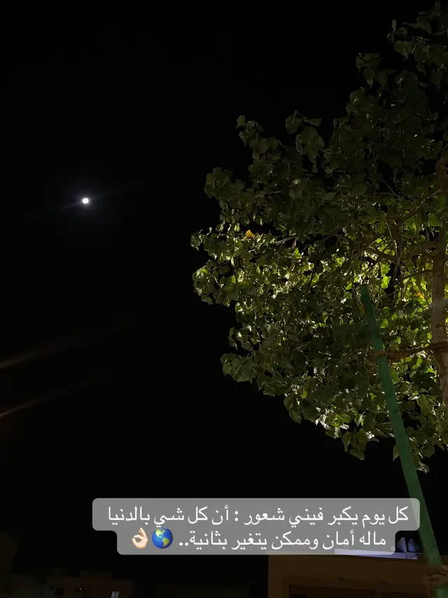 #اكسبلورexplore_o 