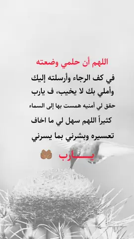 #عبارات_دينيه #اللهم أن حلمي وضعته في كف الرجاء#عبارات_عن_الحياه #عبارات_هرماس #اكسبلورexplore 