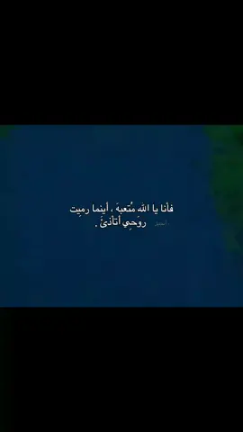 قناة التلي موجوده بالبايو . #أنجيل 
