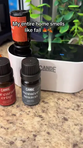 #Fall #Home #Aromatherapy #Diffuser #PumpkinSeason 