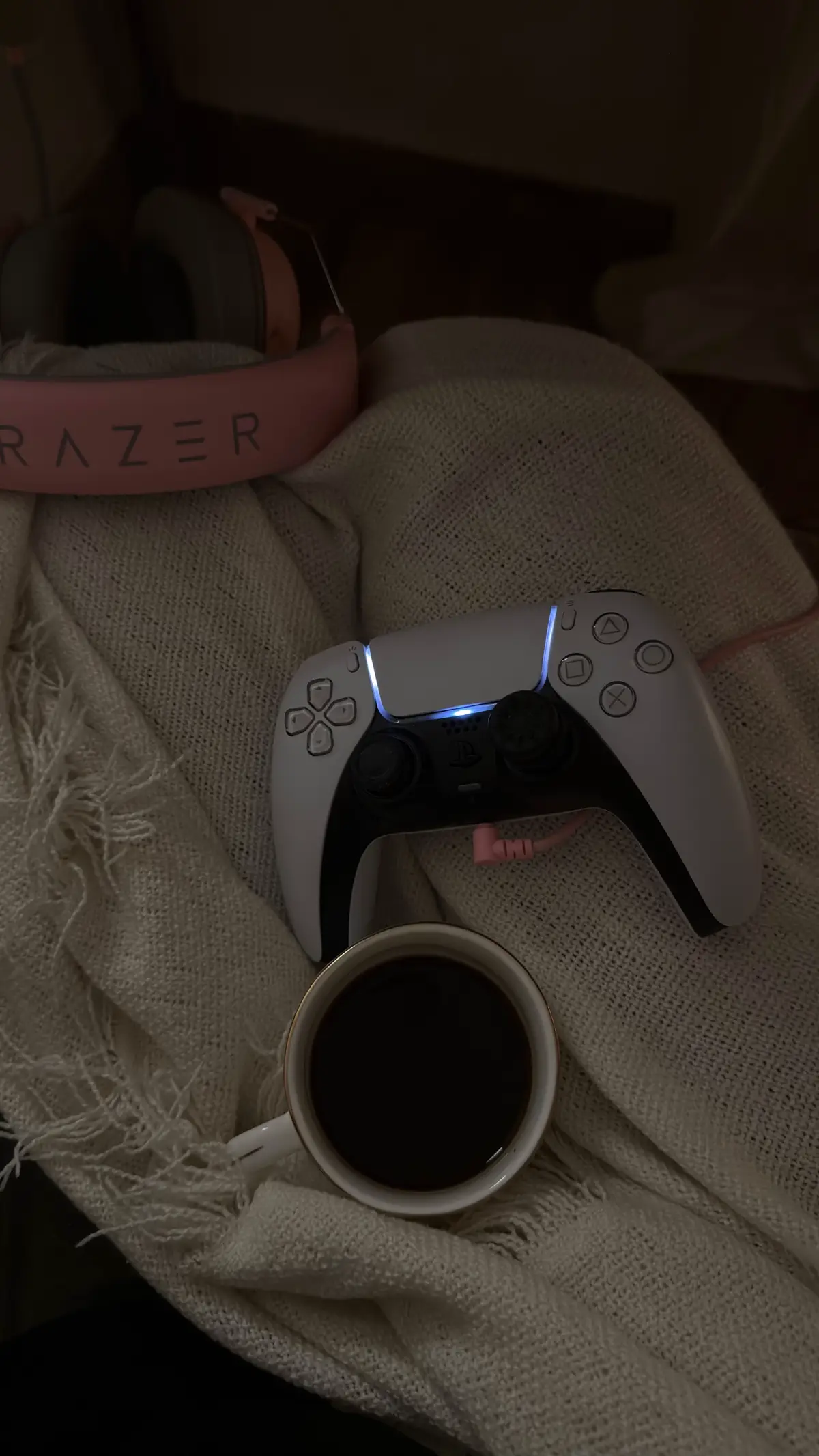 #minimalist #setupgaming #deskaesthetic #tombraider #cozyathome 