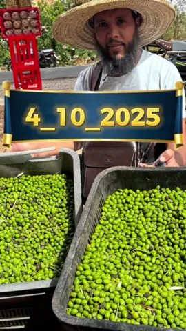3 dh الزيتون بنواحي العطا وية بتاريخ 4■10■2025 #الزيتون #الزيت_المغرب #زيت_الزيتون_قلعة_السراغنة #حولي_صردي_دكالي 