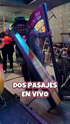 #arpeños #arpeñosenvivo 