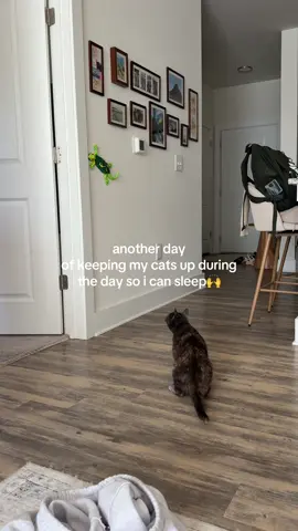 Keeps them entertained for hours lol