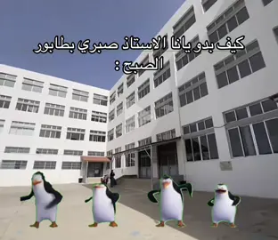 #asmr #الشعب_الصيني_ماله_حل😂😂 #capcut #fyppppppppppppppppppppppp #🖤 