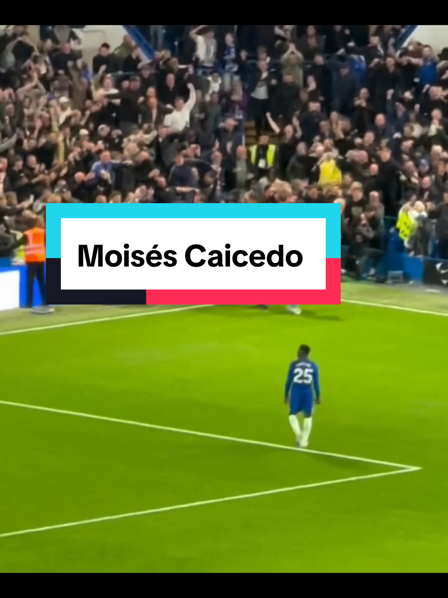 Moisés Caicedo is a GOAT 🐐 #Chelsea #foryou #caicedo #liverpoolfc #PremierLeague 