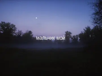 chernikovskaya hata - мальчик мой #song #lyrics #черниковскаяхата  #chernikovskayahata #foryoupage 